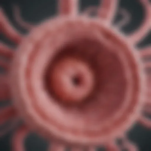 Detailed diagram of fallopian tube cancer stages
