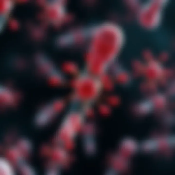 Visual representation of antibody deficiency