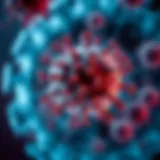 Illustration depicting the immune response in CVID