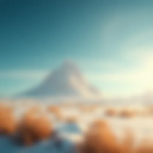 Understanding the Climate of the Tundra Introduction