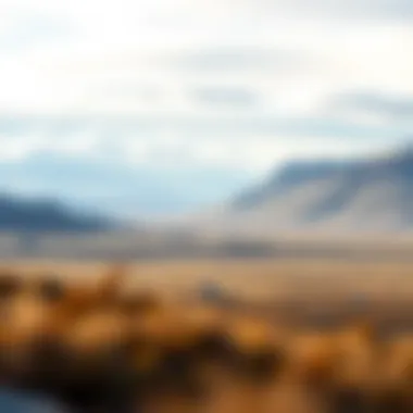 Notable Understanding the Climate of the Tundra