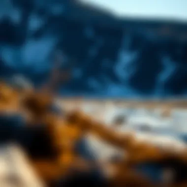 Understanding the Climate of the Tundra Summary