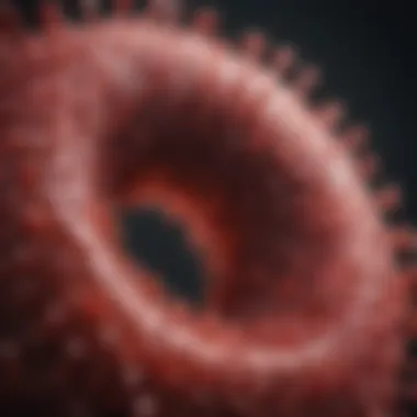 Understanding the HIV-1 Life Cycle: A Comprehensive Exploration Summary Understanding the HIV-1 Life Cycle: A Comprehensive Exploration Summary
