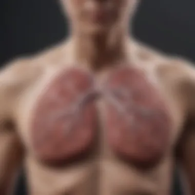 Distinguishing Lung Cancer from Common Respiratory Issues Visual comparison of respiratory conditions