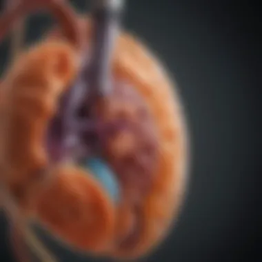 Infographic on lifestyle factors for kidney health