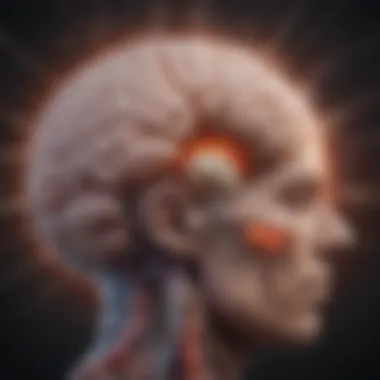 Brain Regions Involved in Migraines Illustration showing the brain with highlighted migraine areas