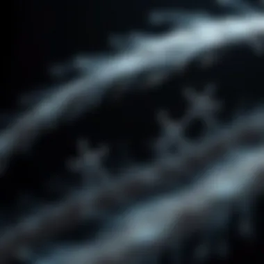 Chemical composition of hair fibers explained through molecular diagrams