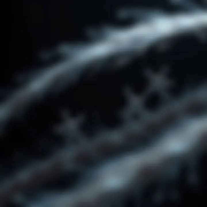 Chemical composition of hair fibers explained through molecular diagrams