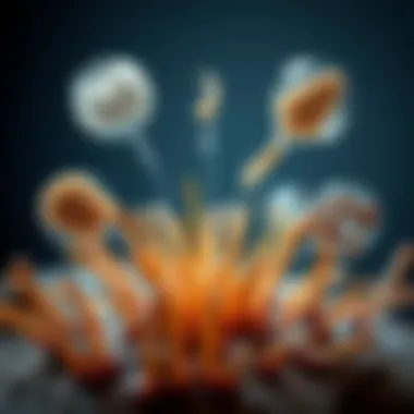 Environmental effects on hair fibers illustrated through various external factors