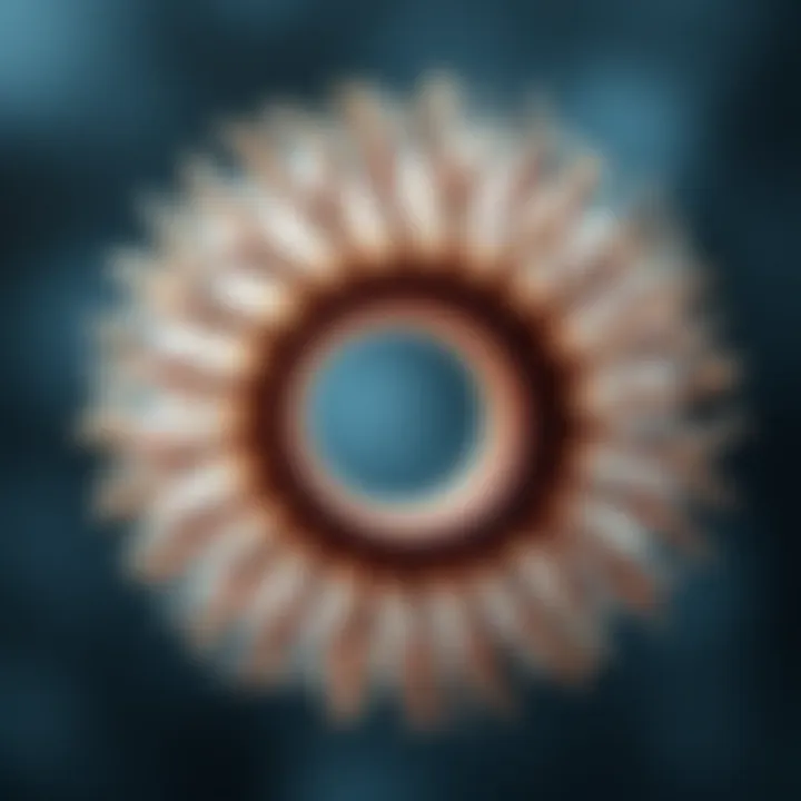 Growth phases of hair fiber depicted in a cycle