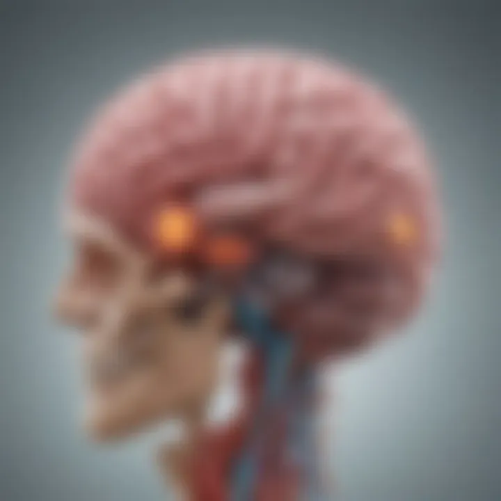 Visual representation of brain symptoms related to lung cancer