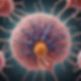 Illustration of lung cancer cells spreading to the brain