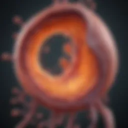 Diagram illustrating cyst formation in kidneys