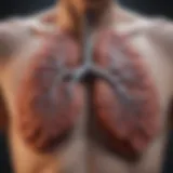 Illustration of lung health post-smoking