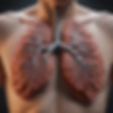 Illustration of lung health post-smoking