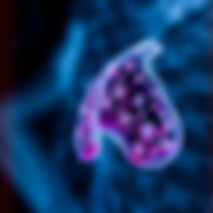 Clinical implications of biopsy findings