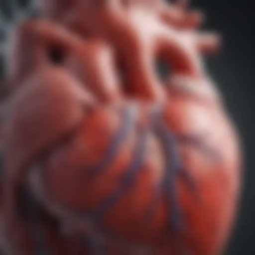 An illustration depicting the heart anatomy highlighting inflammation areas