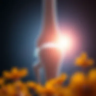 Visual illustrating the impact of vitamin D on bone health