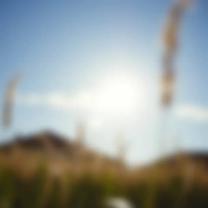 Illustration depicting the importance of sunlight for vitamin D synthesis