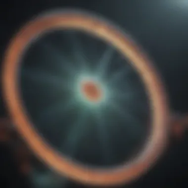 High-Quality Plasmid DNA Visualization Visualization of plasmid DNA post purification