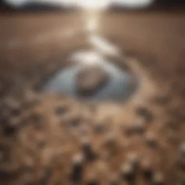 The stark reality of water scarcity A dried-up riverbed illustrating the impact of water scarcity