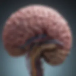 Visualization of brain metastasis from lung cancer