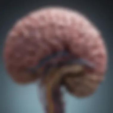 Understanding Brain Metastasis in Lung Cancer Visualization of brain metastasis from lung cancer