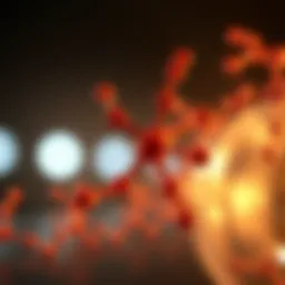 Chemical structure of xanthin